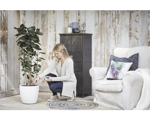 Frau gießt Pflanze im weißen Pflanzgefäß in Zimmerumgebung