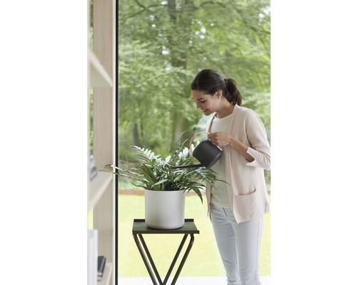 Frau gießt Zimmerpflanze in weißem Topf mit einer Gießkanne auf einem Beistelltisch