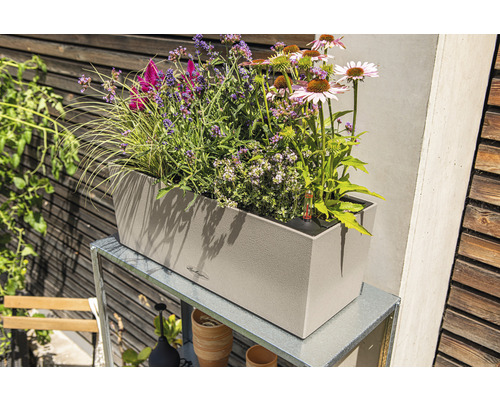 Beigefarbener Pflanzkasten mit verschiedenen Pflanzen auf einem Metallgestell im Garten.