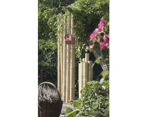 Gartenszene mit Bambusrohren und Vogelhaus