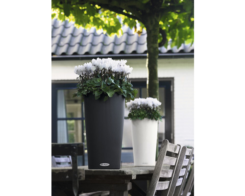 Zwei Pflanzgefäße mit Blumen auf einem Holztisch im Freien