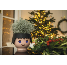 Dekorative Zimmerpflanze in einem Pflanzgefäß in Form eines Kindes vor einem Weihnachtsbaum