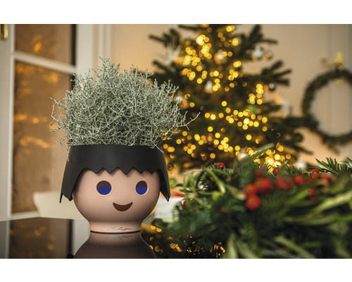 Dekorative Zimmerpflanze in einem Pflanzgefäß in Form eines Kindes vor einem Weihnachtsbaum