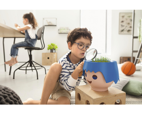 Junge betrachtet Pflanze in einem Pflanzgefäß mit einer Lupe in einem Kinderzimmer.