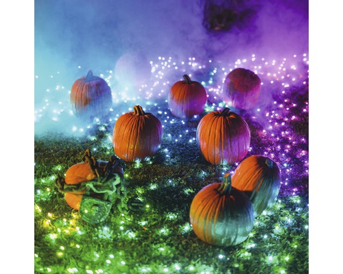 Halloween-Szene mit Kürbissen und dekorativer Beleuchtung im Garten.