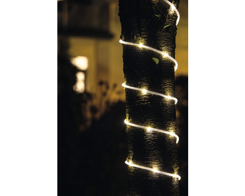 Baumstamm mit gewundener Lichterkette zur Dekoration im Außenbereich