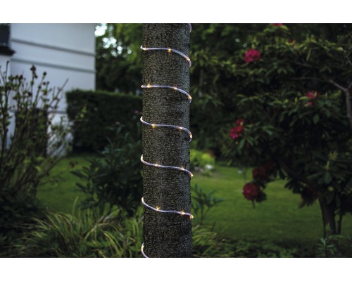 Dekorativer Lichtschlauch um einen Baum im Garten gewickelt.