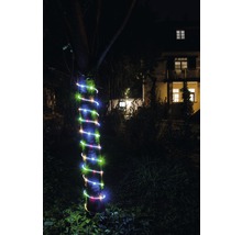 Baumstamm mit farbiger Lichterkette im Garten bei Nacht