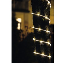 Baumstamm mit Lichterkette im Garten