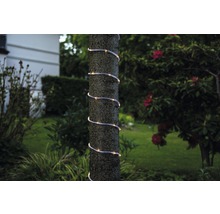Lichterkette spiralförmig um Baumstamm im Garten gewickelt