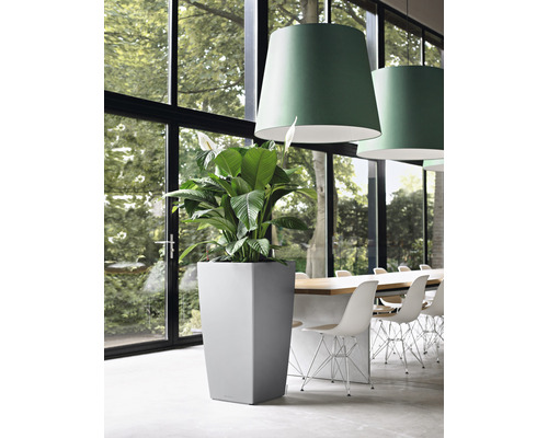 Hoher, grauer Pflanzkübel mit Grünpflanze in einem hellen Raum neben einem langen Tisch und Stühlen.