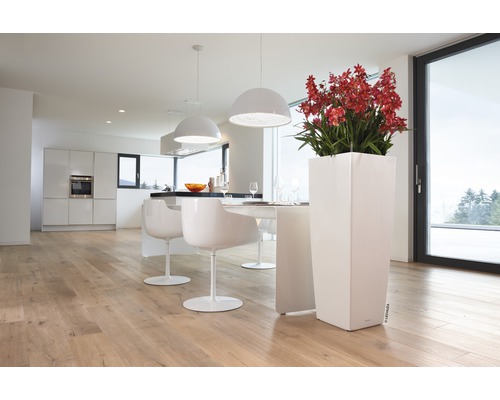 Helles Interieur mit Küche, Esstisch, Stühlen, Leuchten und einem hohen, weißen Pflanzgefäß mit roten Blüten