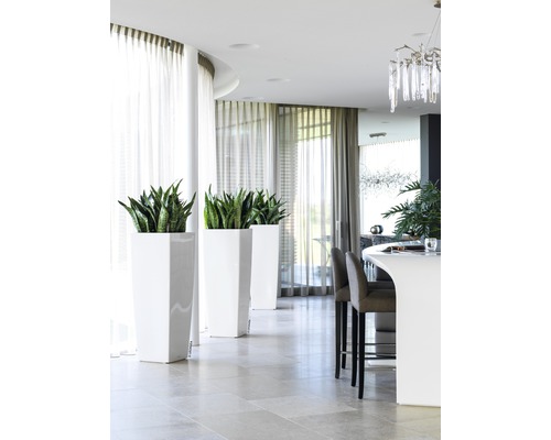 Helle, moderne Inneneinrichtung mit Pflanzen in Pflanzgefäßen