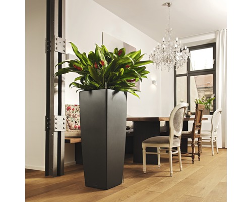 Hoher Pflanzkübel aus Kunststoff mit Zimmerpflanze in einem hellen Raum