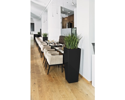 Restaurant mit Tischen, Stühlen und hohen Pflanzgefäßen