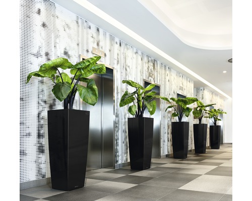 Reihe schwarzer Pflanzgefäße mit Pflanzen in einem Flur mit Aufzügen