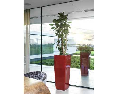 Dekorative Pflanzgefäße in einem hellen Raum