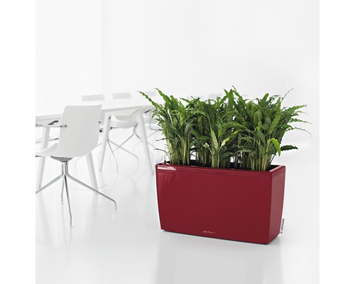 Rechteckiger Pflanzkasten mit grünen Pflanzen auf dem Boden