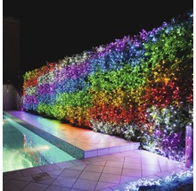 Beleuchtete Hecke mit Lichtern am Pool