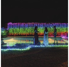 Gartenparty mit Teich und beleuchteter Hecke