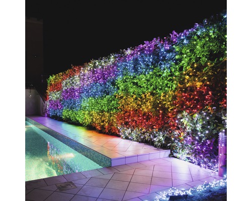 Gartenhecke mit farbiger Lichterkette neben einem Pool
