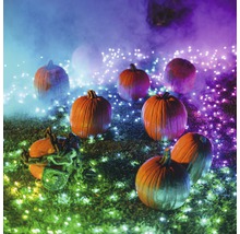 Szene mit mehreren Kürbissen und Lichterketten für Halloween Dekoration