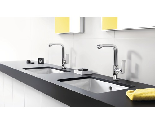 Badezimmer mit zwei Waschbecken, Armaturen und Ablagefläche