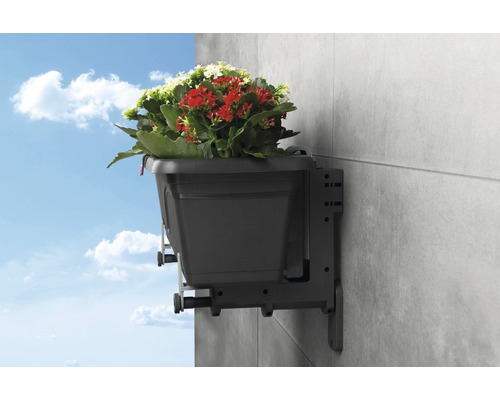 Blumenkasten mit Halterung an einer Wand montiert, bepflanzt mit roten und weißen Blüten