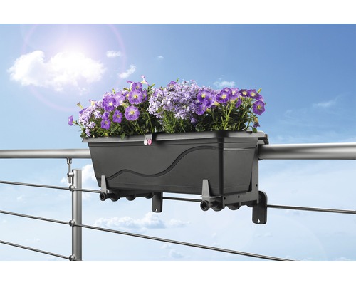 Schwarzer Balkonkasten mit lila Blumen an einem Geländer
