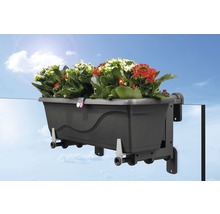 Balkonkasten mit Halterung und roten sowie weißen Blüten vor blauem Himmel