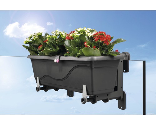 Balkonkasten mit Halterung und roten sowie weißen Blüten vor blauem Himmel