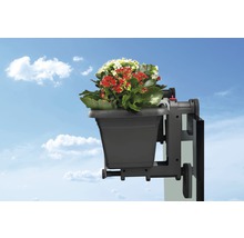 Blumenkasten mit Halterung und blühenden Pflanzen