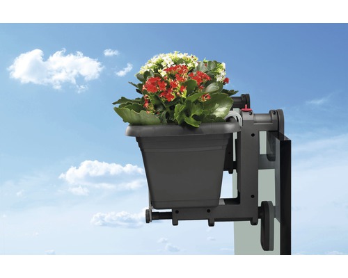 Blumenkasten mit Halterung und blühenden Pflanzen