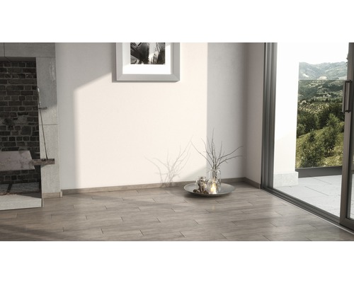 Innenraum mit Holzbodenfliesen und Blick durch eine Terrassentür