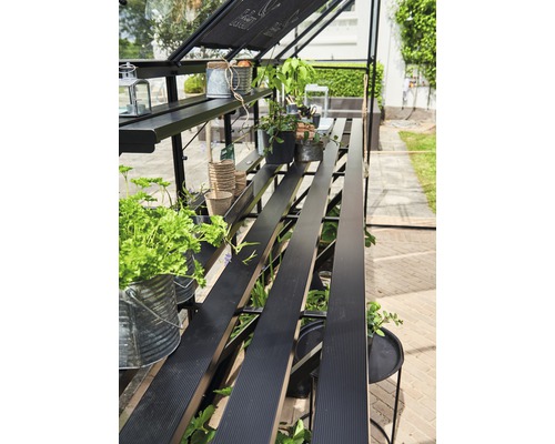 Gewächshaus mit Pflanzen und Regalen für den Garten