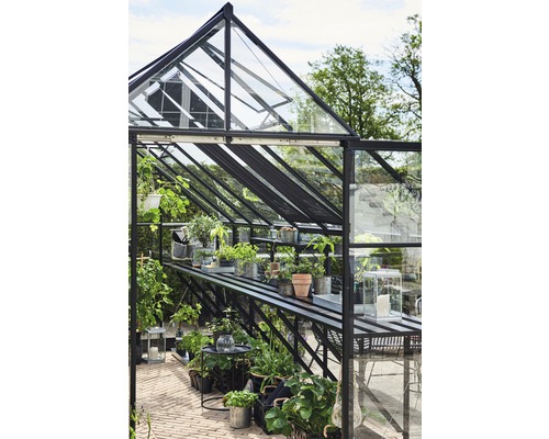 Gewächshaus mit Pflanzen und Regalen