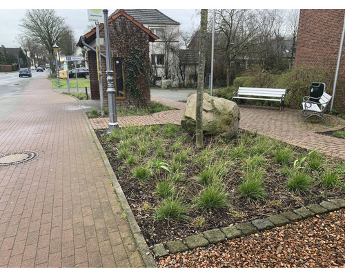 Außenansicht mit Gehweg, bepflanztem Beet und Sitzgelegenheiten