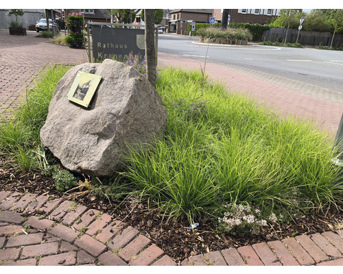 Dekorativer Stein mit Metallplakette inmitten von Grünpflanzen und Gehwegplatten