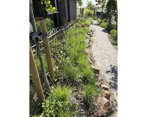 Garten mit Pflanzen, Blumen und gepflastertem Weg