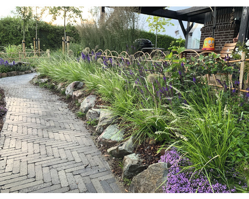 Gartenweg mit Pflastersteinen, umgeben von Steinen, Gras und Pflanzen