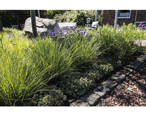 Gestalteter Garten mit Ziergräsern, blühenden Pflanzen und Steinbegrenzung