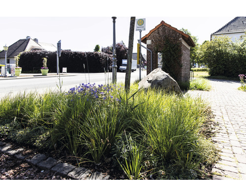 Bushaltestelle mit Bepflanzung und großem Stein