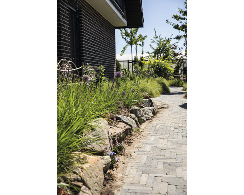 Gartenweg mit Steinmauer und Bepflanzung