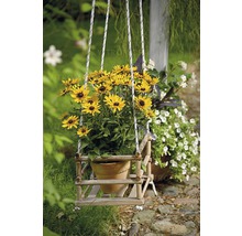 Blumenampel mit gelben Rudbeckia im Topf, hängend an Seilen
