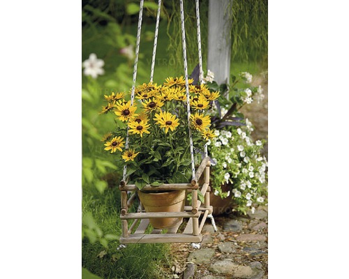 Blumenampel mit gelben Rudbeckia im Topf, hängend an Seilen