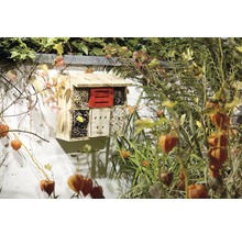 Insektenhotel aus Holz an einer Wand mit Pflanzen