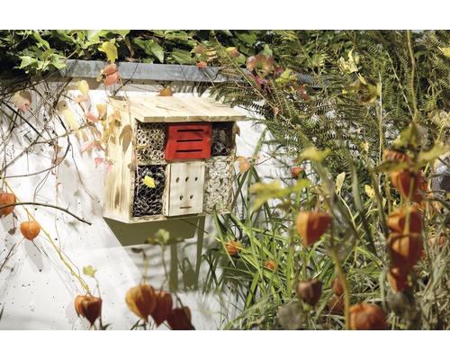 Insektenhotel aus Holz an einer Wand mit Pflanzen
