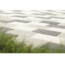 Flairstone Drei Pflasterstein Beton hellgrau 6x14x21 cm-thumb-5 Flairstone Drei Pflasterstein Beton hellgrau 6x14x21 cm-thumb-5