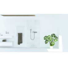 Badezimmer mit Dusche, Waschbecken, Handtuchwärmer und Zimmerpflanze
