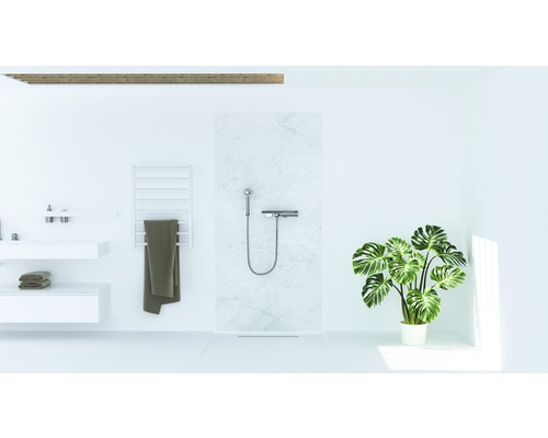 Badezimmer mit Dusche, Waschbecken, Handtuchwärmer und Zimmerpflanze